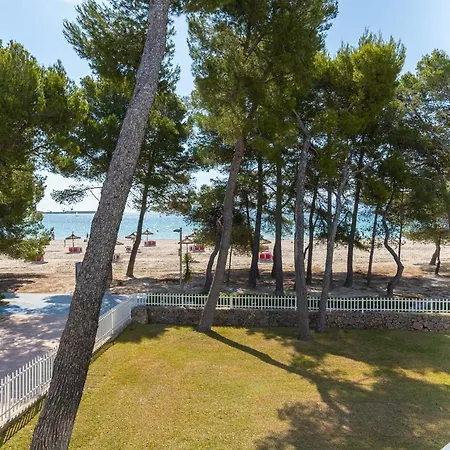 Ferrer Lime Playa De *